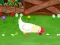 Játék Stupid Chicken online