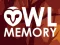 Játék Owl Memory online
