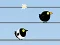 Játék Gone with the Birds online