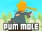 Játék Pum-Mole online
