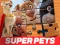 Játék DC League of Super Pets Jigsaw Puzzle online