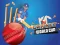 Játék Cricket World Cup Game online