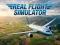 Játék Real Flight Simulator online