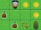 Játék Magic Seeds online