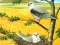 Játék Birds Of Prey Puzzle online