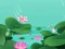 Játék Lotus Flowers online
