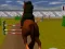 Játék Jumping Horse 3d online