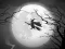 Játék The Night Of the Witches Jigsaw online