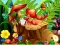 Játék Hidden Objects Insects online