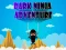 Játék Dark Ninja Adventure online