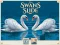 Játék Swans Slide online