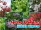 Játék Spring Flowers: Hidden Objects online