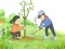 Játék Arbor Day Puzzle online