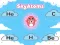 Játék SkyAtoms online