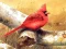 Játék Art Birds Puzzle online