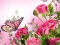 Játék Butterflies Puzzle online