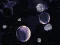Játék Void Miner online