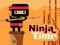 Játék Ninja Time online