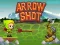Játék Arrow Shoot online