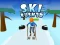 Játék Ski Rush 3d online
