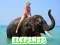 Játék Elephants Puzzle online