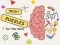 Játék Brain Puzzles Quests online