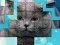 Játék PicPu Cat online