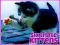Játék Six Little Kittens online