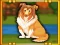 Játék Bernese Mountain Dog Escape online