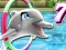 Játék My Dolphin Show 7 online