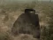 Játék Tank Battle online