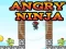 Játék Angry Ninja online