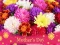 Játék 2019 Mother's Day Puzzle online