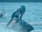 Játék Power Boat Racing 3D online