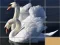 Játék Animals Slide Puzzle online