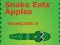 Játék Snake Eats Apples online