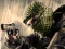 Játék Terrorist Shootout online