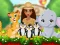 Játék Moana Cute Zoo online