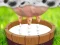 Játék Milk The Cow online