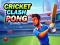 Játék Cricket Clash Pong online