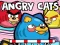 Játék Angry Cats online