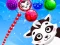Játék Raccoon Rescue online