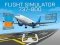 Játék Flight Simulator 737-800 online