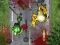 Játék Crush The Zombies online