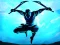 Játék Shadow Ninja Revenge online