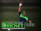 Játék Cricket Fielder Challenge online