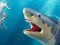 Játék Shark Hunting online