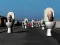 Játék Hunt Skibidi Toilet online