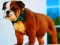 Játék Bulldog Puppy Puzzle online