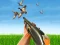 Játék Bird Hunting online